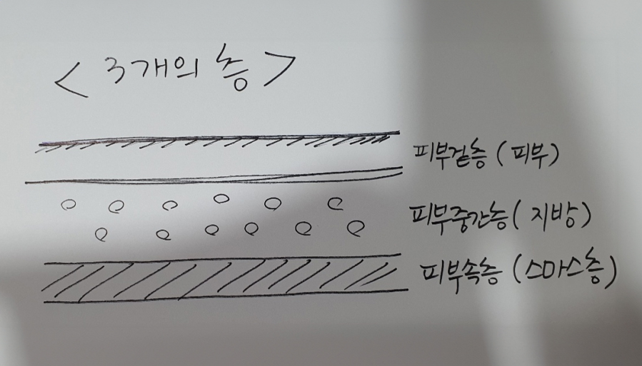 피부층